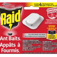 Raid Ant Baits - 4 Pack-Ant Killer